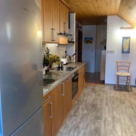 Apartma Pri Tavcarju Apartment *