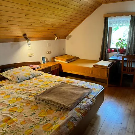 Apartma Pri Tavcarju Apartment